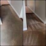 carpet