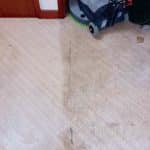 hard-floor-3